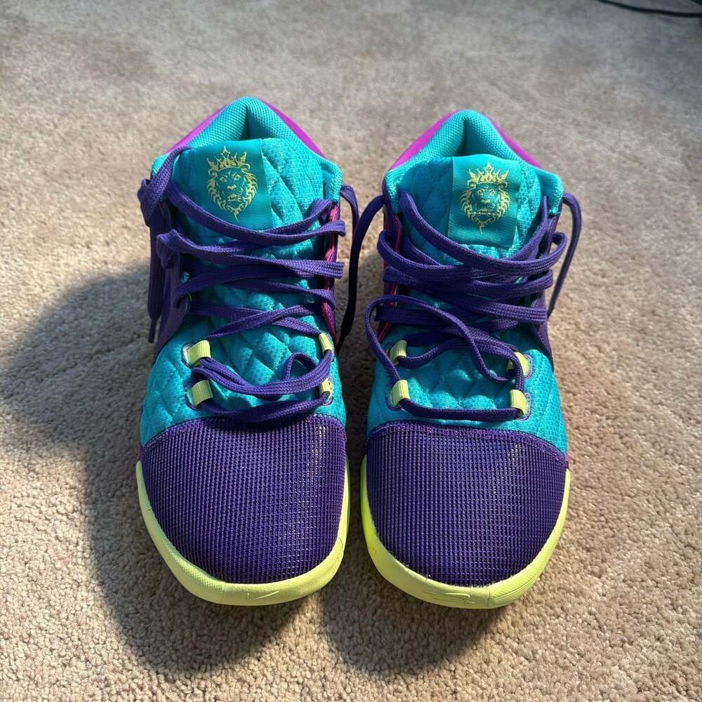 Nike LeBron Witness 8 Field Purple Dusty Cactus FB2239-500